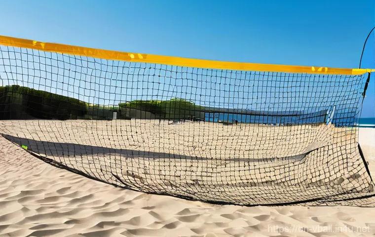 배구 네트 브랜드 비교 - **Prompt 1: Indoor vs. Outdoor Volleyball Net Comparison**
    "A split image or diptych showing two...