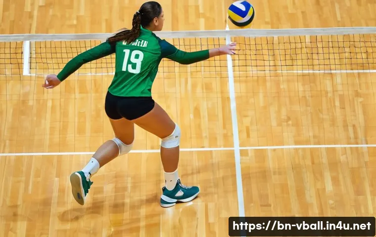 배구 경기에서의 규칙 위반 사례 관련 이미지 1