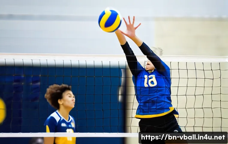 ভলিবল খেলায় জয় নিশ্চিত করতে খেলোয়াড়দের ভূমিকা, যা আপনি আগে জানতেন না! 4 배구 경기 중 선수 역할 분담 관련 이미지 2