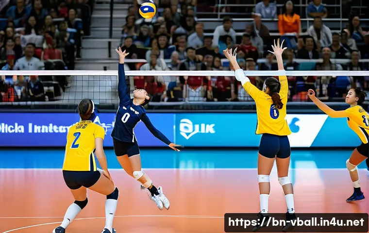 배구 경기 진행 팁 관련 이미지 2